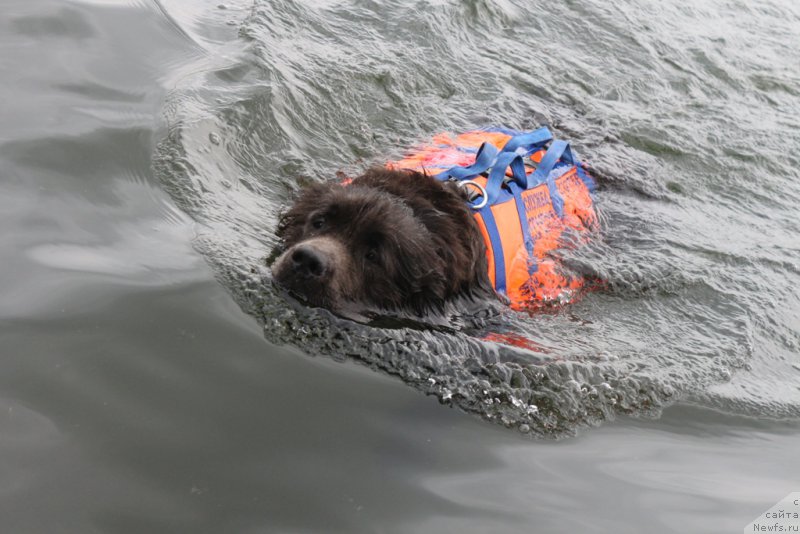 Фотография № 190397