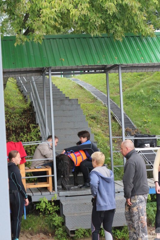 Фотография № 190398