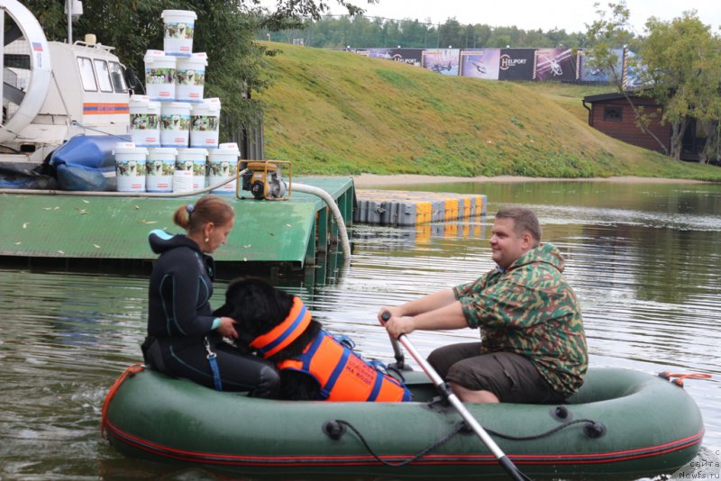 Фотография № 190399