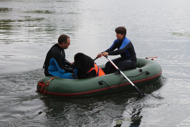 Фотография № 190403