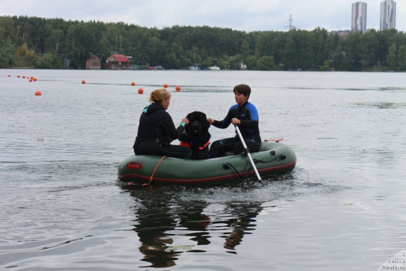 Фотография № 190406