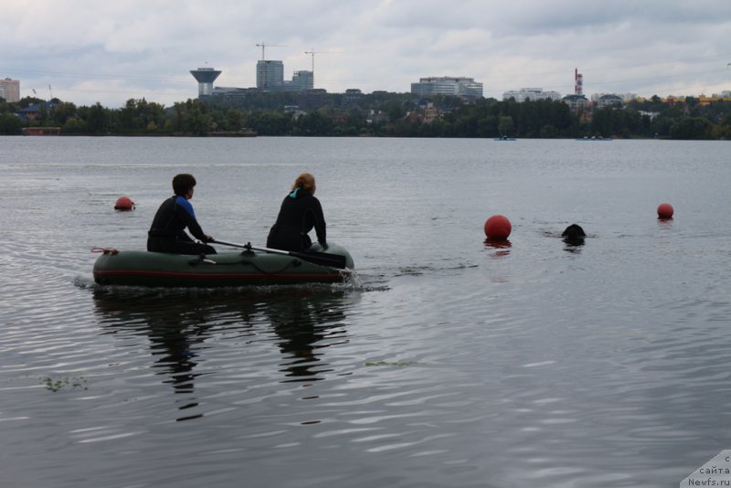 Фотография № 190408