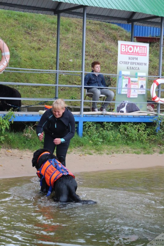 Фотография № 190409