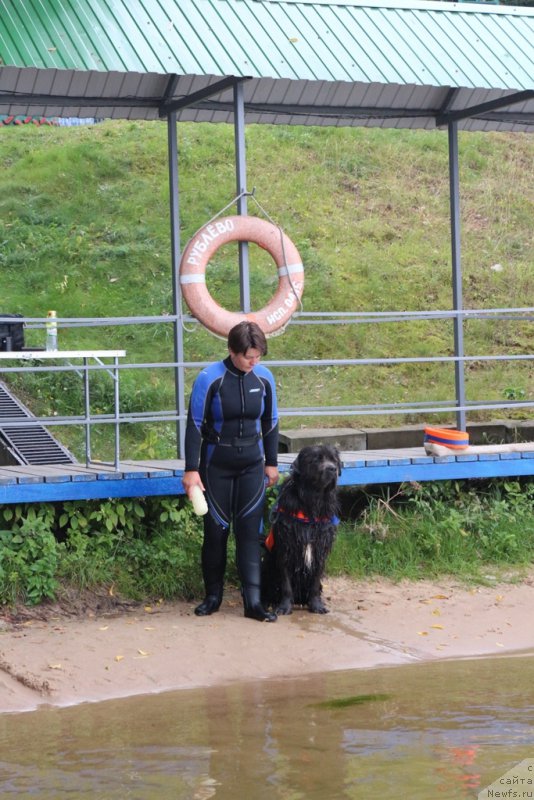 Фотография № 190415