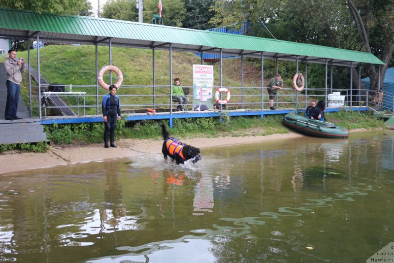 Фотография № 190416