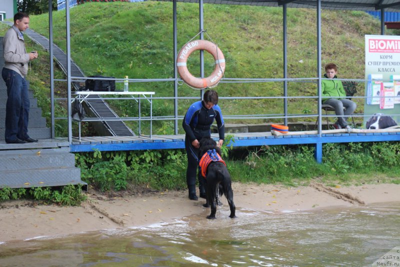 Фотография № 190418