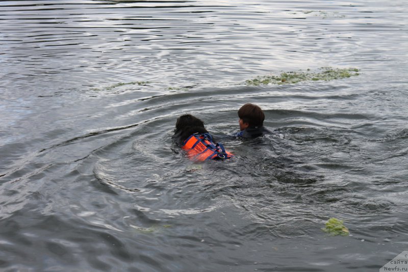 Фотография № 190420