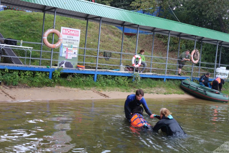 Фотография № 190424