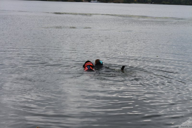 Фотография № 190429