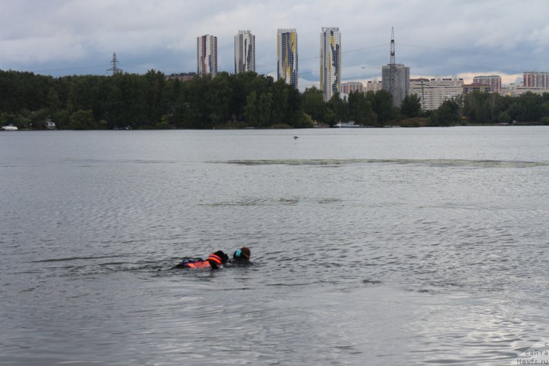 Фотография № 190430