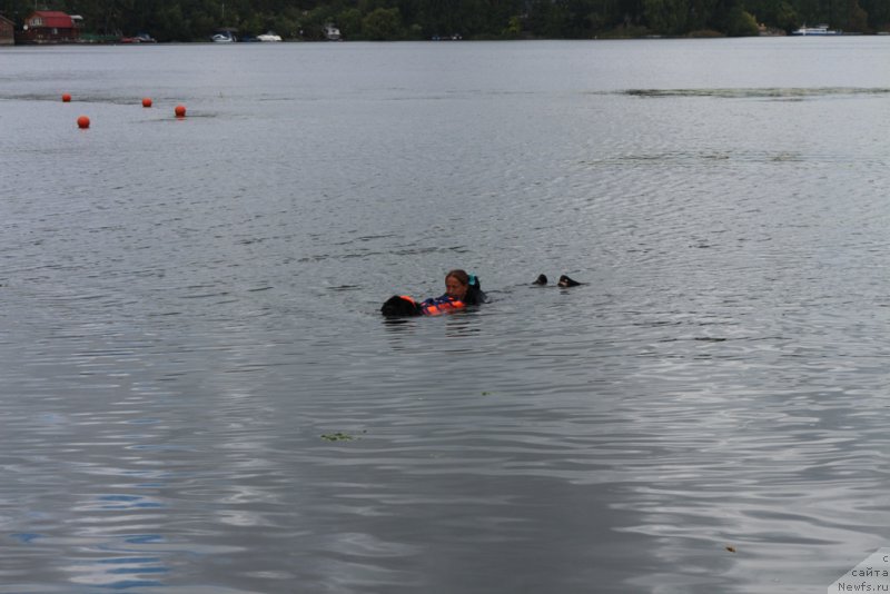 Фотография № 190431