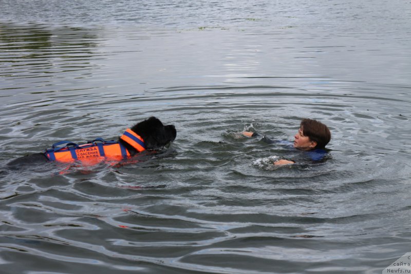 Фотография № 190433