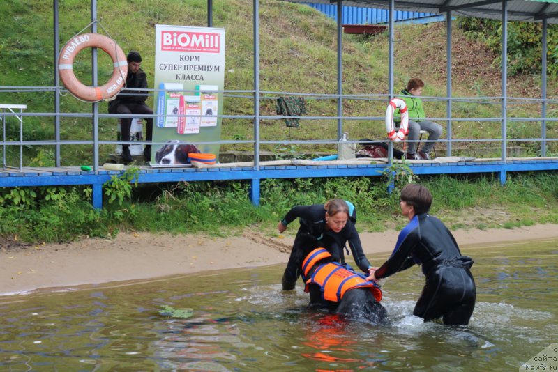 Фотография № 190435