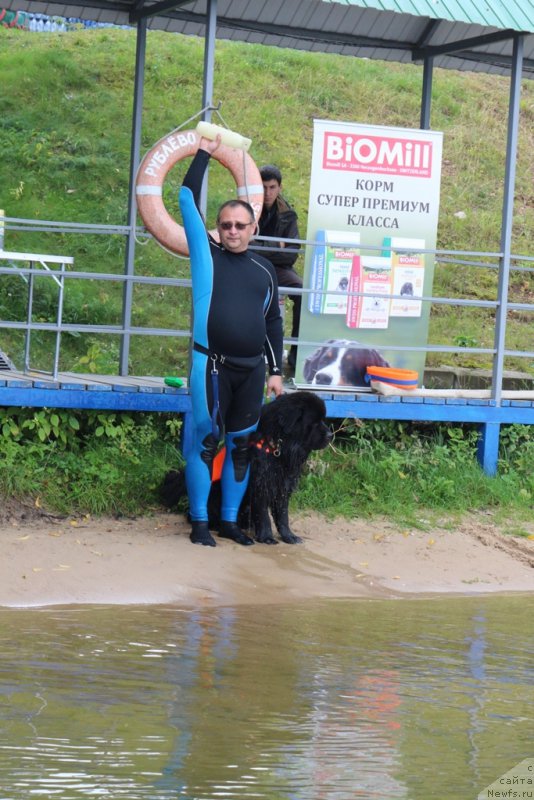 Фотография № 190436