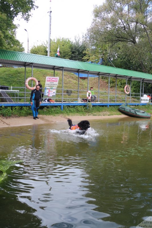 Фотография № 190438