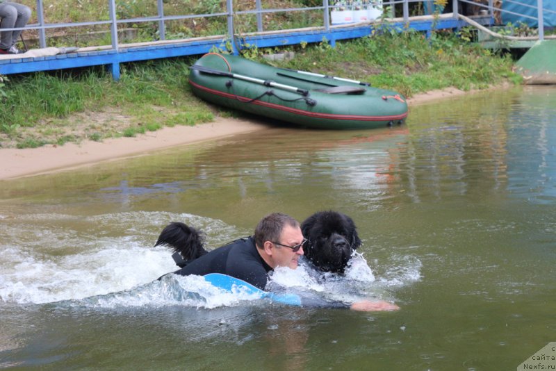 Фотография № 190441