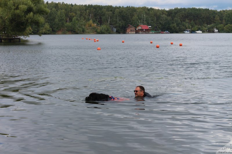 Фотография № 190444