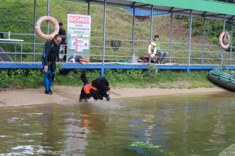 Фотография № 190446