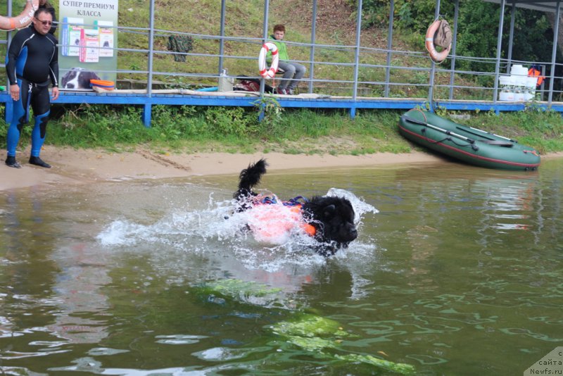 Фотография № 190447