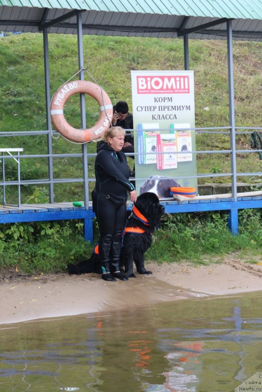 Фото: Antonina CHigvinceva (Антонина Чигвинцева), ньюфаундленд Toptyzhka Geroy Nashego Vremeni (Топтыжка Герой Нашего Времени)