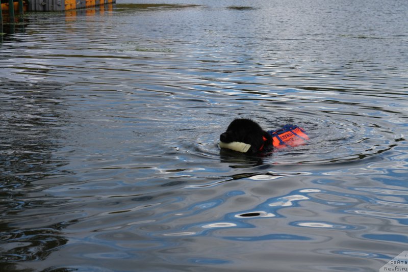 Фотография № 190451