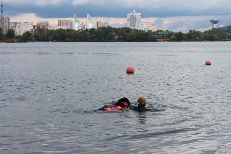 Фотография № 190453