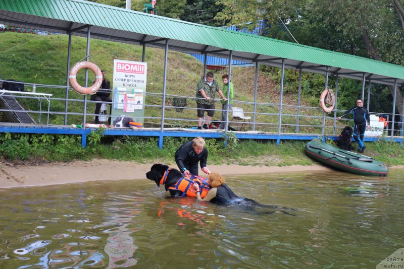 Фотография № 190459