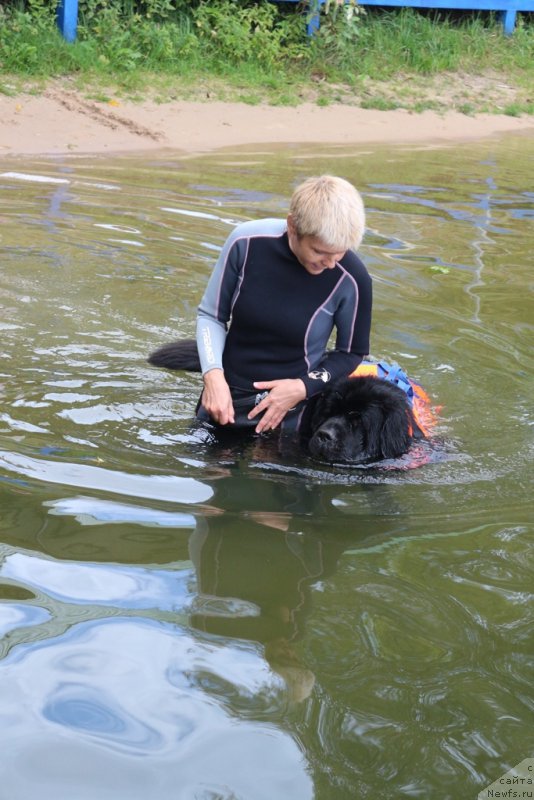 Фотография № 190460