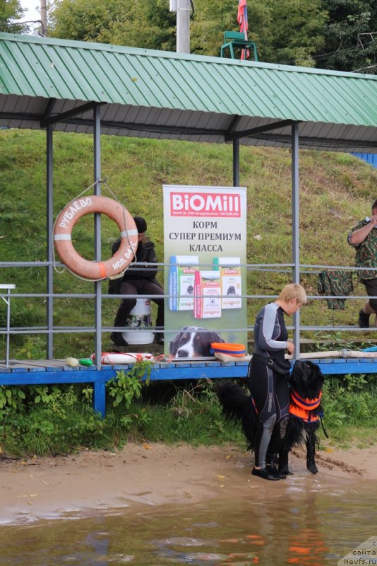 Фотография № 190461