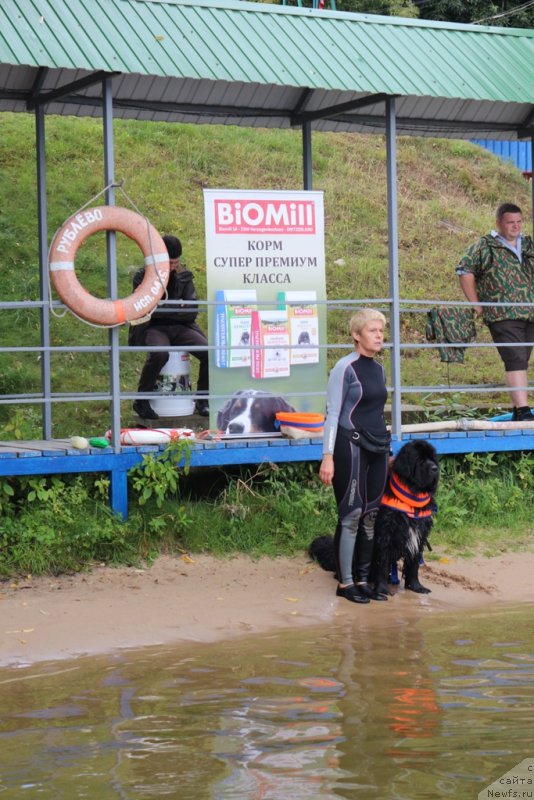 Фото: Larisa Kutina (Лариса Кутина), ньюфаундленд Belkonder-Club Ugli-Boogli (Белкондер-Клаб Угли-Бугли)