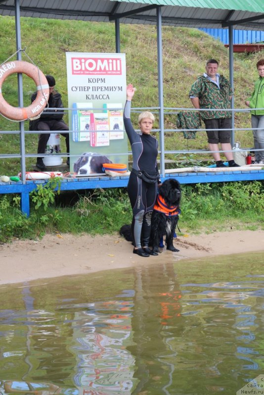 Фото: Larisa Kutina (Лариса Кутина), ньюфаундленд Belkonder-Club Ugli-Boogli (Белкондер-Клаб Угли-Бугли)