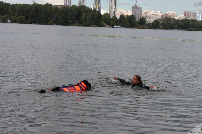 Фотография № 190472