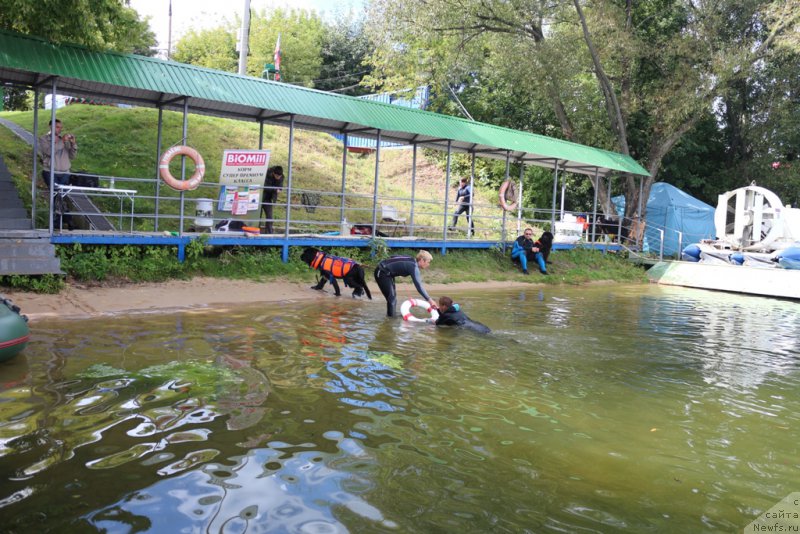 Фотография № 190474