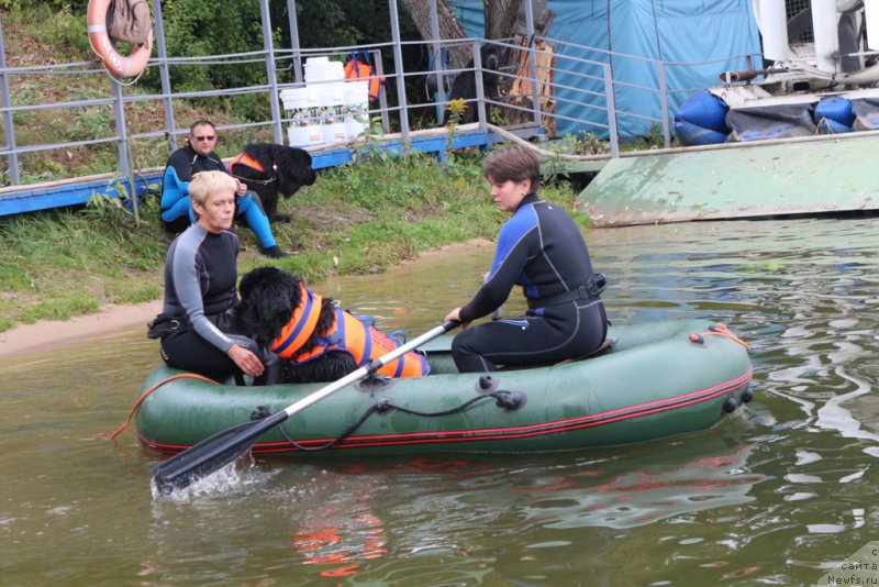 Фотография № 190475