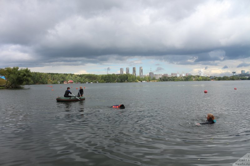 Фото: Larisa Kutina (Лариса Кутина), ньюфаундленд Belkonder-Club Ugli-Boogli (Белкондер-Клаб Угли-Бугли)