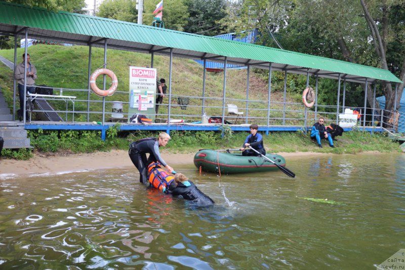 Фотография № 190479