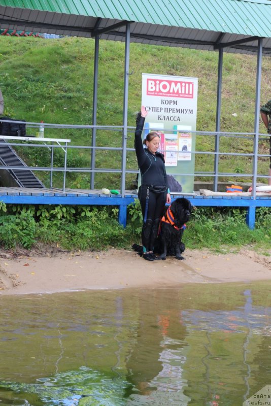 Фотография № 190480