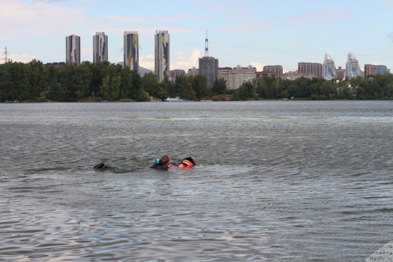 Фотография № 190485