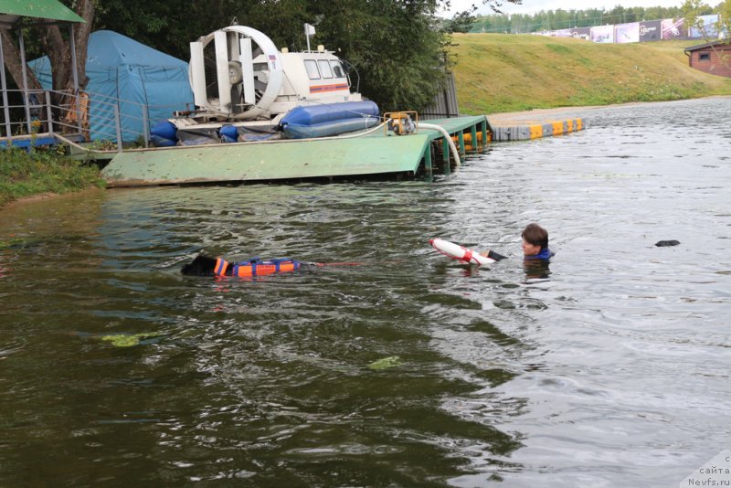 Фотография № 190488