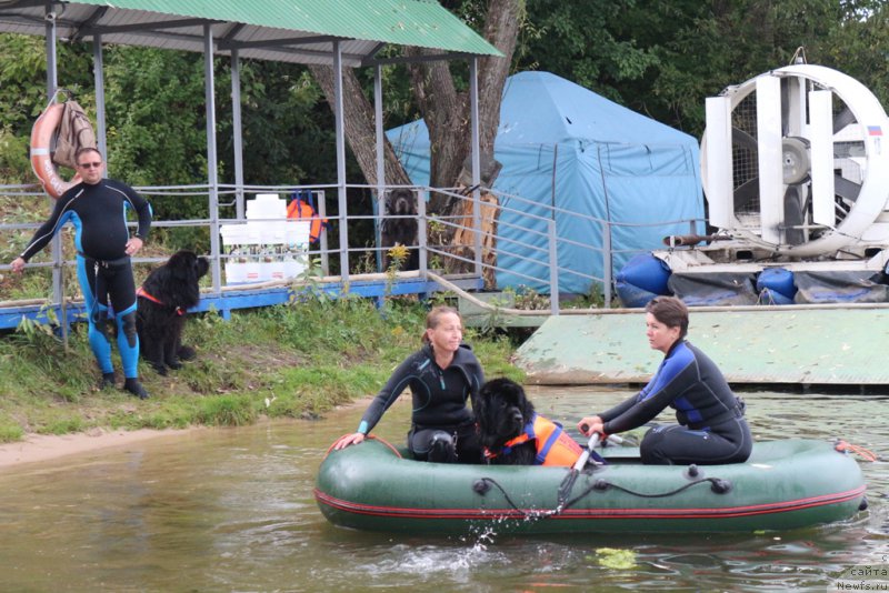 Фотография № 190490