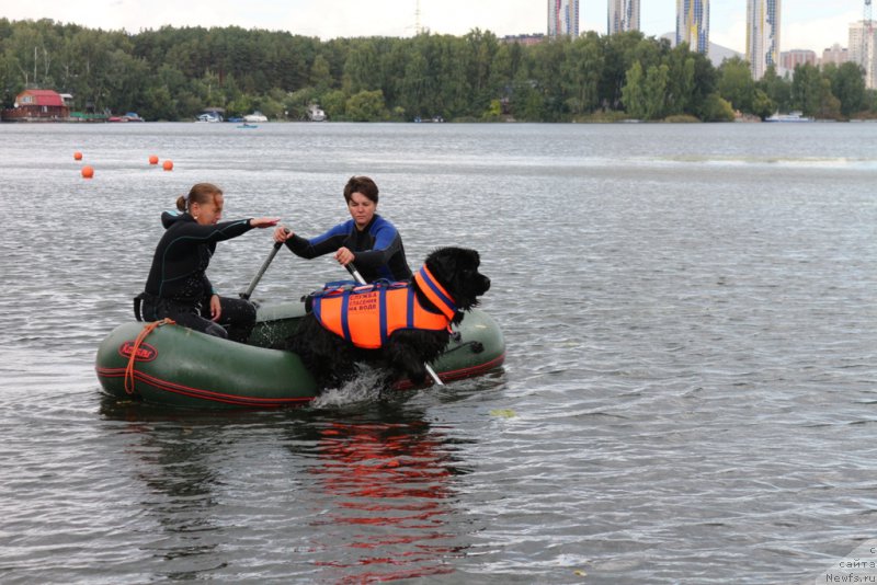 Фотография № 190492