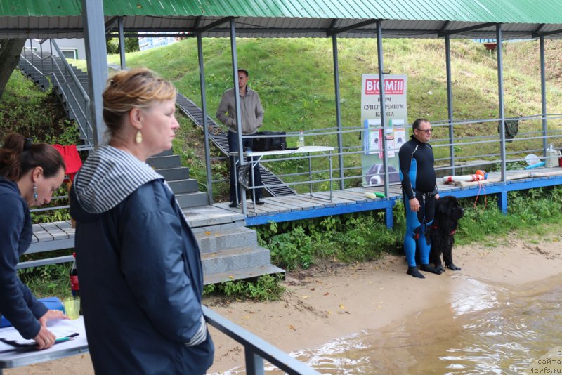 Фотография № 190495