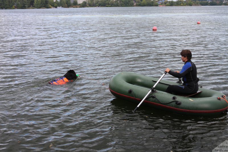 Фотография № 190497