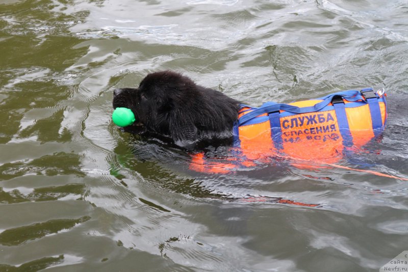 Фотография № 190498