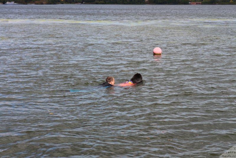 Фотография № 190502