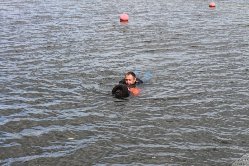 Фотография № 190503