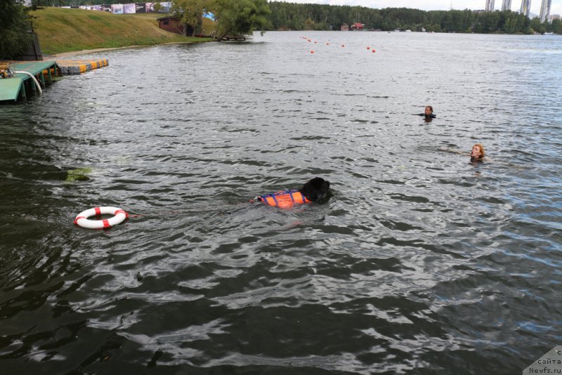 Фотография № 190505