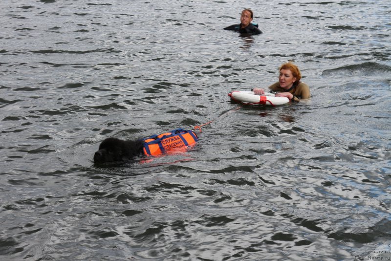 Фотография № 190506