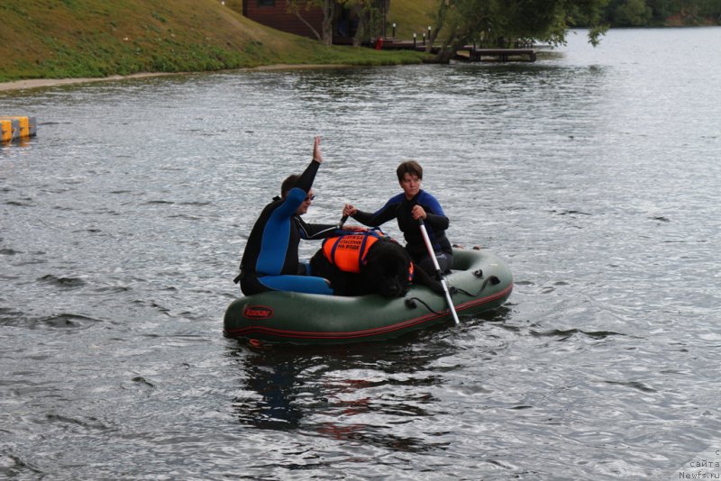 Фотография № 190509