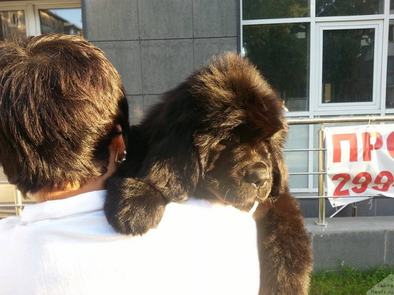 Фотография № 190523